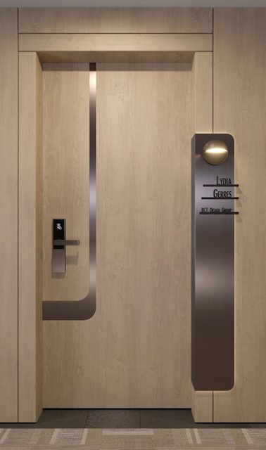 Modern Door